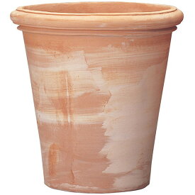 楽天市場 素焼き鉢 号の通販