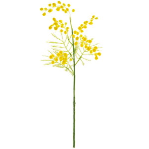 ~U   lC A[eBtBVt[ Mtg v[g A t[AWg fBXvC  ԍ A[gt[ CeAO[ tFCNO[ 