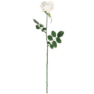 o  ΂ [Y KN  lC A A[eBtBVt[ Mtg v[g t[AWg fBXvC G CeA p ԍ Cxg p[eB[ 