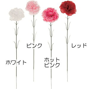 J[l[V  lC  A A[eBtBVt[ lHϗtA CeAO[ A[gt[ G tFCNO[ t[AWg fBXvC 