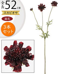 XJrIT   lC A[eBtBVt[ A lHϗtA tFCNO[ t[AWg fBXvC pi CeA IuWF EGfBO 