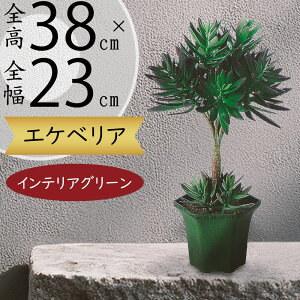 GPxA A tFCNO[  lC A  CeAO[ lHϗtA lH  CeA IuWF A[gO[ t gsA[ Mtg v