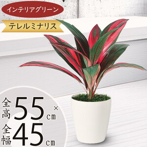 tFCNO[  lC A CeAO[ ϗtA lHϗtA  A[gO[ lH   CeA IuWF e[uTCY Mtg 蕨 Vzj