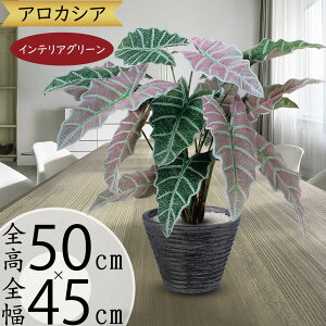 AJVA NYC tFCNO[ lC  CeAO[ A lHϗtA ϗtA lH  A[gvc A[gO[  CeA IuWF Ƌ 