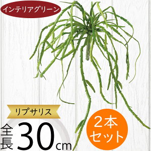 A vTX tFCNO[  CeAO[ lC A A[gvc  A[gO[ lHϗtA lH ϗtA ԍ t t } CeA I