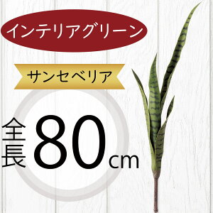 TZxA TXxA A  tFCNO[ lC CeAO[ A lHϗtA lH  A[gvc A[gO[ CeA IuWF Ƌ t