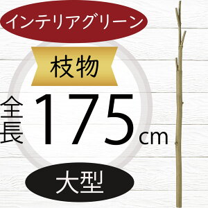 } } ^ tFCNO[  lC CeAO[ A lHϗtA  A[gvc A[gO[ lH  u`  CeA Ƌ fBXv