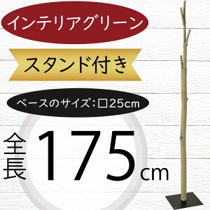 } } ^ tFCNO[  lC CeAO[ A lHϗtA  A[gvc A[gO[ lH  u`  CeA Ƌ fBXv