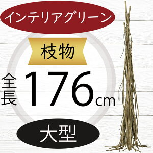 } } ^ tFCNO[  lC CeAO[ A lHϗtA  A[gvc A[gO[ lH  u`  CeA Ƌ fBXv