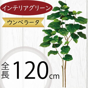 Ex[^ tFCNO[ ^  ϗtA A lC CeAO[  lHϗtA lH  A[gvc A[gO[ CeA  fBXv