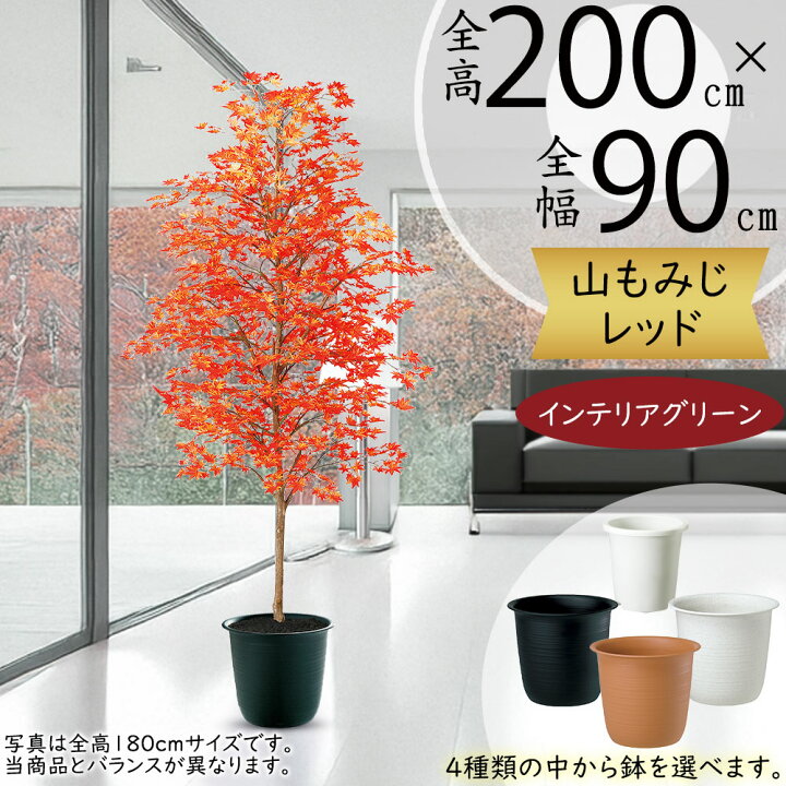 楽天市場】モミジ もみじ フェイクグリーン 大型 おしゃれ 人気 リアル 