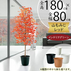 ~W ݂ tFCNO[ ^  lC A CeAO[ lHϗtA lH ϗtA  A[gO[ A[gvc CeA IuWF Ƌ  i`