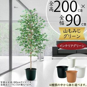 ~W ݂ tFCNO[ ^  lC A CeAO[ lHϗtA lH ϗtA  A[gO[ A[gvc CeA IuWF Ƌ  i`