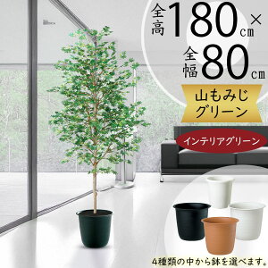 ~W ݂ tFCNO[ ^  lC A CeAO[ lHϗtA lH ϗtA  A[gO[ A[gvc CeA IuWF Ƌ  i`