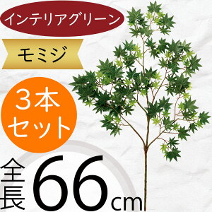 ~W ݂ gt ݂ tFCNO[ ^  lC CeAO[  A } lHϗtA lH A[gvc A[gO[ t ԍ t[A