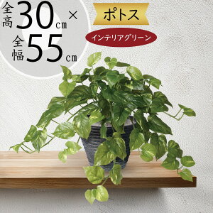 |gX tFCNO[  lC CeAO[ A ^  fXN VFt I  lHϗtA ϗtA   CeA IuWF Ƌ   rO Q