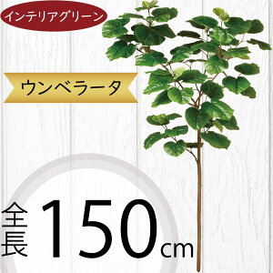 Ex[^ tFCNO[ ^  ϗtA A lC CeAO[  lHϗtA lH  A[gvc A[gO[ CeA  fBXv