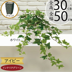 tFCNO[ ACr[ lC   A CeAO[  lHϗtA A[gO[ CeA IuWF lH { t  Mtg  