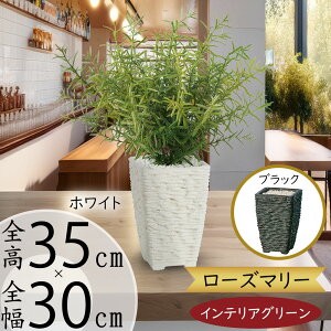 tFCNO[ [Y}[ n[u ϗtA  lC A CeAO[ lHϗtA  lH CeA IuWF A[gO[  Mtg Vzj 