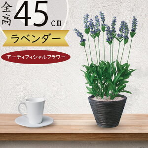 x_[   n[u  lC  A tFCNO[ CeAO[ ϗtA   lHϗtA A[eBtBVt[ lH t {