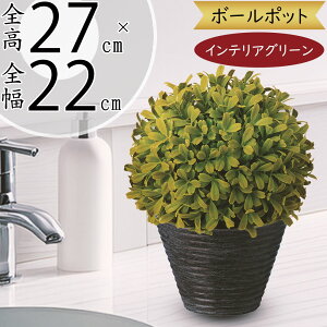 tFCNO[  lC A  ϗtA CeA IuWF CeAO[  lHϗtA   A[gO[   Mtg v[g  L