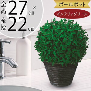 tFCNO[  lC A  ϗtA CeA IuWF CeAO[  lHϗtA   A[gO[   Mtg v[g  L