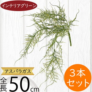 AXpKX tFCNO[  CeAO[ lC A lHϗtA A[gvc  ԍ t } ϗtA A[gO[ lH CeA IuWF Ƌ 