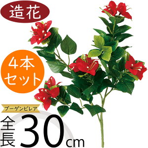  tFCNO[ u[QrA u[QrA  lC  A ԍ CeAO[  ϗtA lHϗt lH AWg { gsJ 