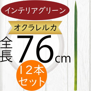 INEJ tFCNO[ ^  CeAO[ lC A  lHϗtA A[gvc A[gO[ A[eBtBVt[ ԍ t t  t