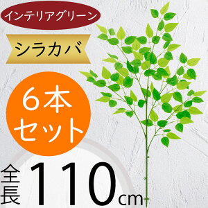 tFCNO[  ^ lC   VJo CeAO[  lHϗtA A[gO[ lH t ԍ } t[AWg fBXvC Iu