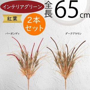 tFCNO[  lC CeAO[ A ϗtA  A[gvc CeA lHϗtA lH } t t ԍ  IuWF t[AWg f