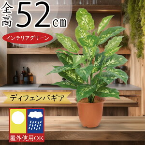 tFCNO[ Op OΉ  lC A CeAO[ ϗtA lHϗtA lH   A[gO[  CeA  oRj[ t@T[h x