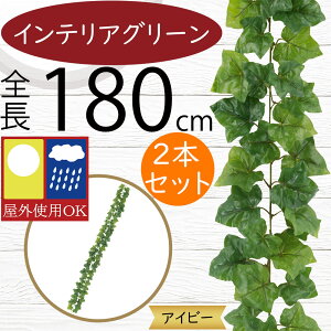 K[h  Op OɂΉ lC tFCNO[  A ACr[ CeAO[ lHϗtA  c^   ǖ ݂邷 t K[f p[eB[