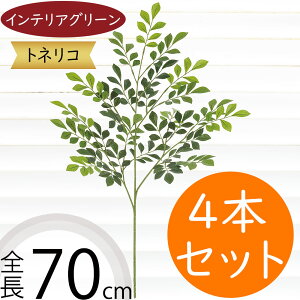 tFCNO[  A lC  ϗtA CeAO[ glR V}glR  lHϗtA lH A[gO[ CeA  t } } {