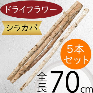 } hCt[  lC ^  VJo VRf Rf } u`  CeAO[ ϗtA CeA Ƌ t[AWg fBXvC 