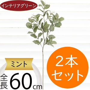 ~g n[u  tFCNO[ CeAO[ lC A  lHϗtA lH A[gvc ϗtA t ԍ A[gO[ IuWF Ƌ t[A