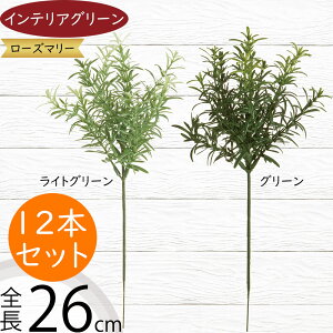 tFCNO[ [Y}[ n[u  lC CeAO[ A lHϗtA   A[gvc A[gO[ ϗtA ChAO[ CeA G Ƌ