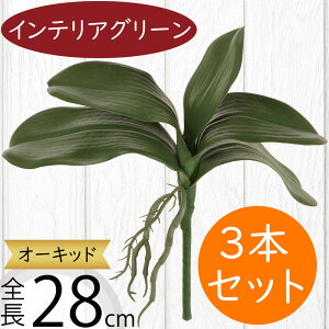 tFCNO[  lC CeAO[ A lHϗtA  A[gvc A[gO[ ϗtA ChAO[ CeA IuWF t[AWg 