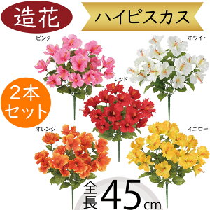 nCrXJX  A[eBtBVt[  lC A t[AWg fBXvC ԍ lHϗtA tFCNO[ CeAO[ gsJ 썑 