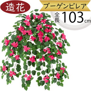  tFCNO[ ^ u[QrA u[QrA  lC  A CeAO[ ϗtA   t lHϗt lH t[AWg {