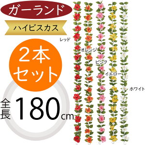 K[h  lC  A  nCrXJX tFCNO[ CeAO[ lHϗtA A[eBtBVt[ fR[V fBXvC t 