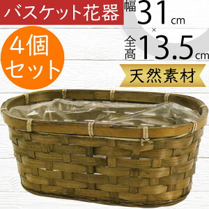 t[x[X oXPbg Ԋ  lC ԓ CeA IuWF G Ƌ  JS   u e VRf Rf |pi 񂹐A i` Mtg v[