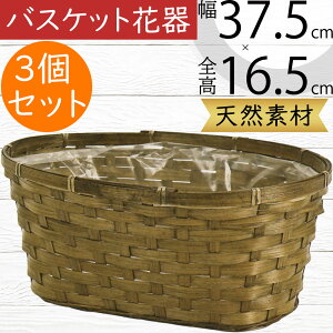 t[x[X oXPbg Ԋ  lC ԓ CeA IuWF G Ƌ  JS   u e VRf Rf |pi 񂹐A i` Mtg v[