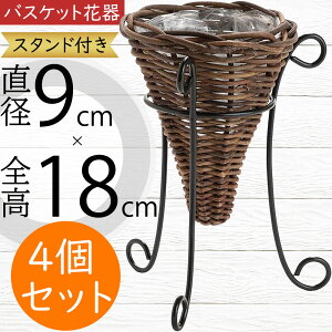 t[x[X oXPbg Ԋ  lC X^ht ԓ CeA IuWF G Ƌ  JS   u e VRf Rf |pi Mtg v[g t