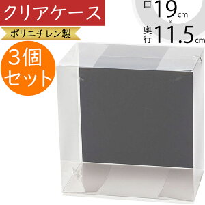 クリアケース 透明 ボックス 箱 コサージュ用 パッケージ おしゃれ ラッピング 包装 容器 ギフト プレゼント 贈り物 フローラル 資材 花材 人気 業務用 店舗用 お花屋さん 園芸用品 フラワー