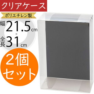 クリアケース 透明 ボックス 箱 コサージュ用 パッケージ おしゃれ ラッピング 包装 容器 ギフト プレゼント 贈り物 フローラル 資材 花材 人気 業務用 店舗用 お花屋さん 園芸用品 フラワー