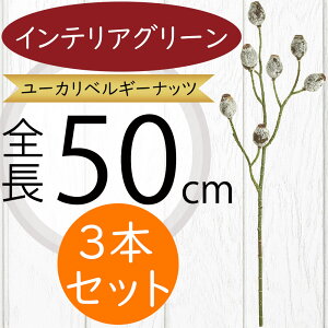 tFCNO[  lC CeAO[ A ϗtA  A[gvc CeA Ƌ lHϗtA A[gO[ } t t ԍ IuWF t[AW