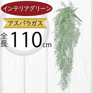 AXpKX tFCNO[ ^  CeAO[ lC A lHϗtA A[gvc  t } ϗtA A[gO[ lH CeA IuWF Ƌ 