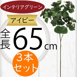 ACr[ tFCNO[  lC CeAO[ A ϗtA  A[gvc CeA Ƌ lHϗtA lH A[gO[ } t t ԍ IuWF 