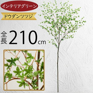 hE_ccW tFCNO[ ^  ϗtA A lC CeAO[  lHϗtA lH  A[gvc A[gO[ CeA  fBX